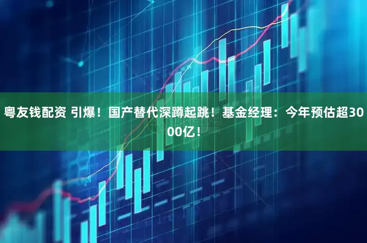 粤友钱配资 引爆！国产替代深蹲起跳！基金经理：今年预估超3000亿！