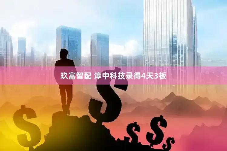 玖富智配 淳中科技录得4天3板